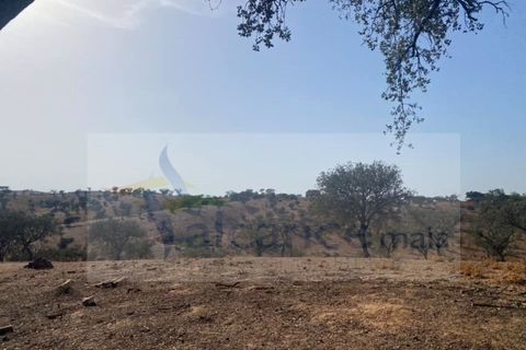 Farm i Vila Nova de Sao Bento e Vale de Vargo, Beja, Vila Nova de Sao Bento e Vale de Vargo - € 290.000 | Ref: FIN_127 - foto 5