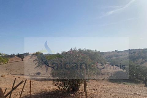 Farm i Vila Nova de Sao Bento e Vale de Vargo, Beja, Vila Nova de Sao Bento e Vale de Vargo - € 290.000 | Ref: FIN_127 - foto 6