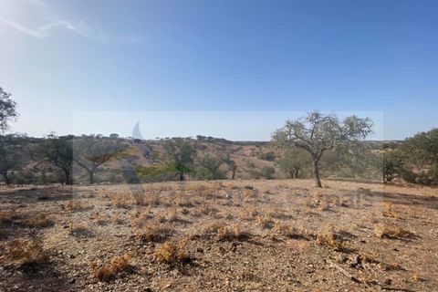 Farm i Vila Nova de Sao Bento e Vale de Vargo, Beja, Vila Nova de Sao Bento e Vale de Vargo - € 290.000 | Ref: FIN_127 - foto 7