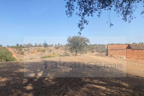 Farm i Vila Nova de Sao Bento e Vale de Vargo, Beja, Vila Nova de Sao Bento e Vale de Vargo - € 290.000 | Ref: FIN_127 - foto 2
