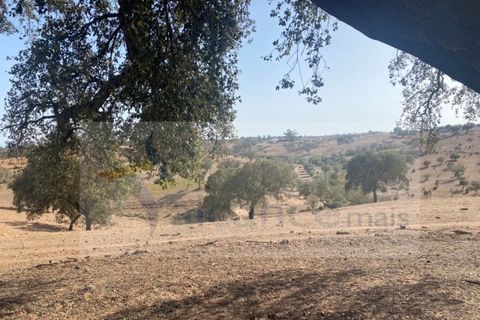 Farm i Vila Nova de Sao Bento e Vale de Vargo, Beja, Vila Nova de Sao Bento e Vale de Vargo - € 290.000 | Ref: FIN_127 - foto 8