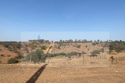Farm i Vila Nova de Sao Bento e Vale de Vargo, Beja, Vila Nova de Sao Bento e Vale de Vargo - € 290.000 | Ref: FIN_127 - foto 9