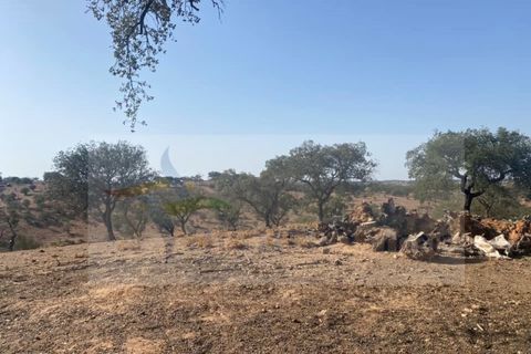 Farm i Vila Nova de Sao Bento e Vale de Vargo, Beja, Vila Nova de Sao Bento e Vale de Vargo - € 290.000 | Ref: FIN_127 - foto 10