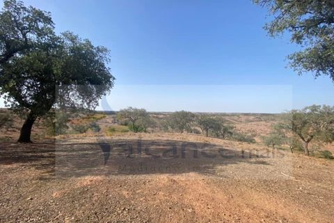 Farm i Vila Nova de Sao Bento e Vale de Vargo, Beja, Vila Nova de Sao Bento e Vale de Vargo - € 290.000 | Ref: FIN_127 - foto 11