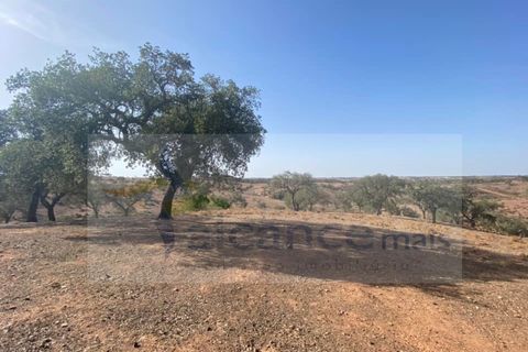 Farm i Vila Nova de Sao Bento e Vale de Vargo, Beja, Vila Nova de Sao Bento e Vale de Vargo - € 290.000 | Ref: FIN_127 - foto 13