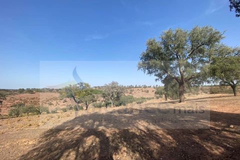 Farm i Vila Nova de Sao Bento e Vale de Vargo, Beja, Vila Nova de Sao Bento e Vale de Vargo - € 290.000 | Ref: FIN_127 - foto 14