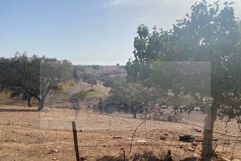 Farm i Vila Nova de Sao Bento e Vale de Vargo, Beja, Vila Nova de Sao Bento e Vale de Vargo - € 290.000 | Ref: FIN_127 - foto 15