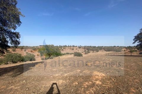 Farm i Vila Nova de Sao Bento e Vale de Vargo, Beja, Vila Nova de Sao Bento e Vale de Vargo - € 290.000 | Ref: FIN_127 - foto 16