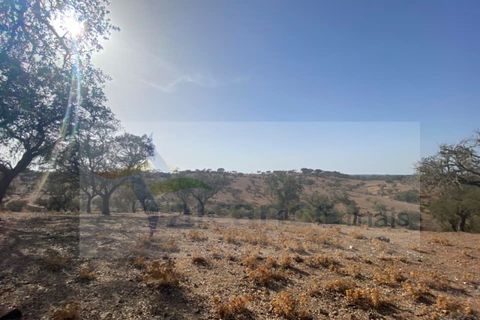 Farm i Vila Nova de Sao Bento e Vale de Vargo, Beja, Vila Nova de Sao Bento e Vale de Vargo - € 290.000 | Ref: FIN_127 - foto 17