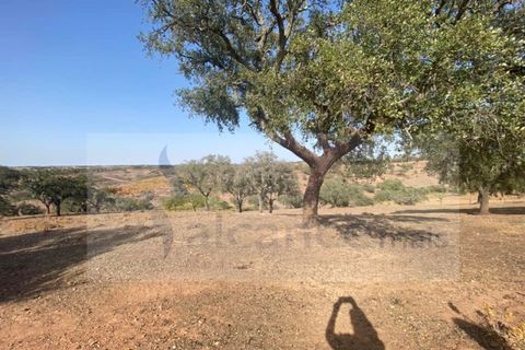 Farm i Vila Nova de Sao Bento e Vale de Vargo, Beja, Vila Nova de Sao Bento e Vale de Vargo - € 290.000 | Ref: FIN_127 - foto 18