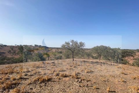 Farm i Vila Nova de Sao Bento e Vale de Vargo, Beja, Vila Nova de Sao Bento e Vale de Vargo - € 290.000 | Ref: FIN_127 - foto 19