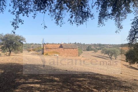Farm i Vila Nova de Sao Bento e Vale de Vargo, Beja, Vila Nova de Sao Bento e Vale de Vargo - € 290.000 | Ref: FIN_127 - foto 20