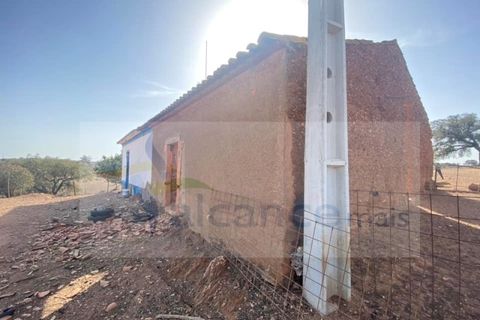 Farm i Vila Nova de Sao Bento e Vale de Vargo, Beja, Vila Nova de Sao Bento e Vale de Vargo - € 290.000 | Ref: FIN_127 - foto 21