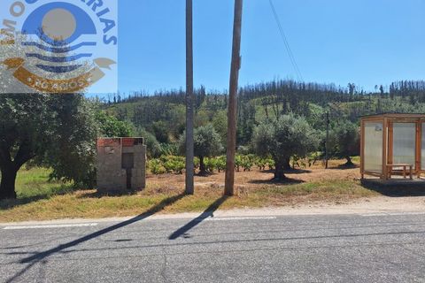 Helårsgrund i Ourem, Santarem, Ourem - € 25.000 | Ref: TER_728 - foto 2