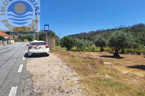 Helårsgrund i Ourem, Santarem, Ourem - € 25.000 | Ref: TER_728 - foto 4