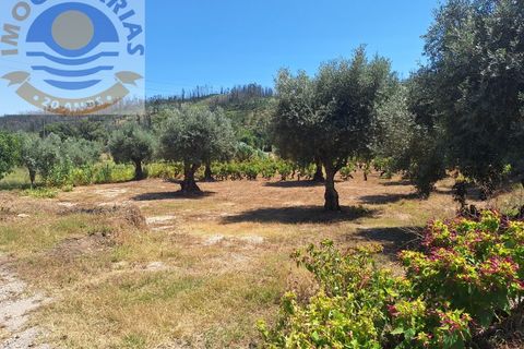 Helårsgrund i Ourem, Santarem, Ourem - € 25.000 | Ref: TER_728 - foto 5