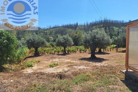 Helårsgrund i Ourem, Santarem, Ourem - € 25.000 | Ref: TER_728 - foto 6