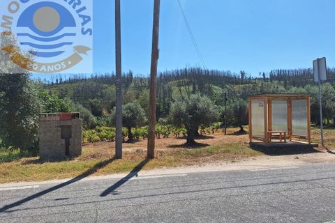 Helårsgrund i Ourem, Santarem, Ourem - € 25.000 | Ref: TER_728 - foto 7