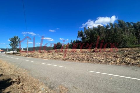 Grond in Agueda, Aveiro, Agueda - € 42.000 | Ref: AG 4050 - foto 2