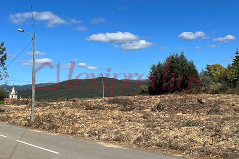Grond in Agueda, Aveiro, Agueda - € 42.000 | Ref: AG 4050 - foto 4