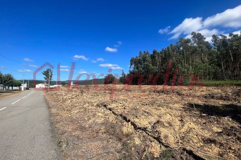 Grond in Agueda, Aveiro, Agueda - € 42.000 | Ref: AG 4050 - foto 5