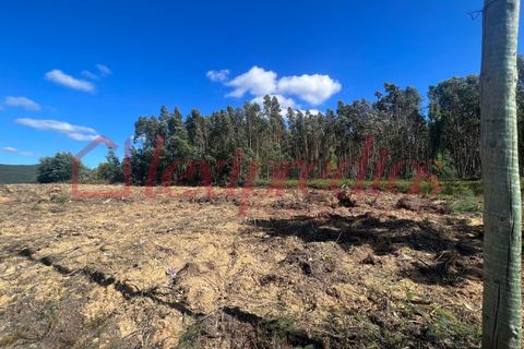 Grond in Agueda, Aveiro, Agueda - € 42.000 | Ref: AG 4050 - foto 7