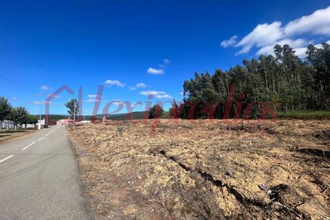 Grond in Agueda, Aveiro, Agueda - € 42.000 | Ref: AG 4050 - foto 8