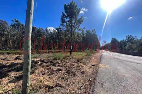 Grond in Agueda, Aveiro, Agueda - € 42.000 | Ref: AG 4050 - foto 9