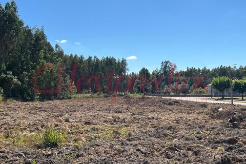 Grond in Agueda, Aveiro, Agueda - € 42.000 | Ref: AG 4050 - foto 11