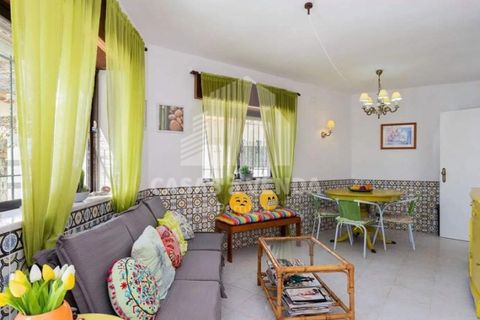 Farm i Sagres, Faro, Sagres - € 1.450.000 | Ref: FIN_32 - foto 19
