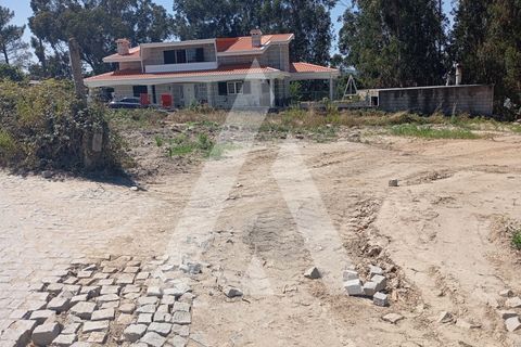Terra a Cabeca Santa, Porto, Cabeca Santa - € 287.000 | Ref: 1360036/24PN - foto 2