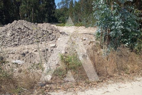Terra a Cabeca Santa, Porto, Cabeca Santa - € 287.000 | Ref: 1360036/24PN - foto 3