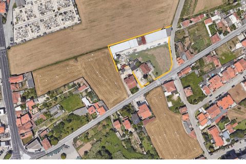 Farm i Maia, Porto, Maia - € 1.800.000 | Ref: 1866 - foto 3
