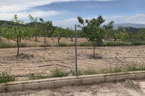Villa i Pinoso, Alicante, Pinoso - € 184.900 | Ref: 28369 - foto 14