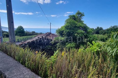 Helårsgrund i Lajes do Pico, Pico, Lajes do Pico - € 37.000 | Ref: 374240179 - foto 10