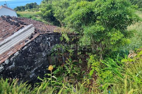 Helårsgrund i Lajes do Pico, Pico, Lajes do Pico - € 37.000 | Ref: 374240179 - foto 12