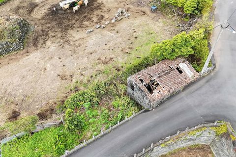 Helårsgrund i Lajes do Pico, Pico, Lajes do Pico - € 37.000 | Ref: 374240179 - foto 6