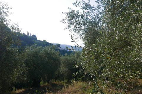 Terra a Camporosso, Imperia, Camporosso - € 89.000 | Ref: 85128532 - foto 2