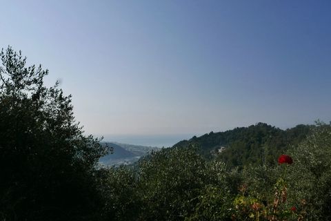 Terra a Camporosso, Imperia, Camporosso - € 89.000 | Ref: 85128532 - foto 9