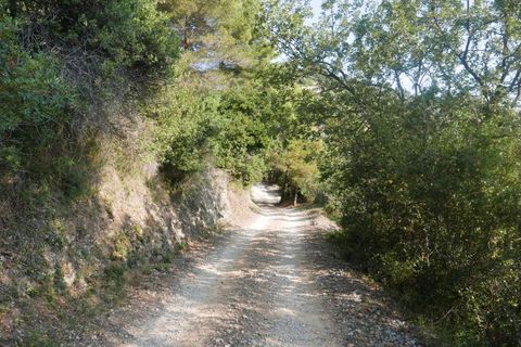 Terra a Camporosso, Imperia, Camporosso - € 89.000 | Ref: 85128532 - foto 10
