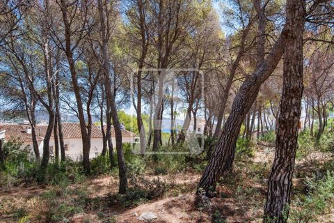 Helårsgrund i Moraira, Alicante, Moraira - € 350.000 | Ref: PMR0041 - foto 5