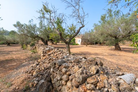 Finca i Camarles, Tarragona, Camarles - € 75.000 | Ref: 115 - foto 12