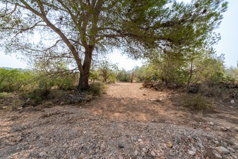 Finca i Camarles, Tarragona, Camarles - € 75.000 | Ref: 115 - foto 20