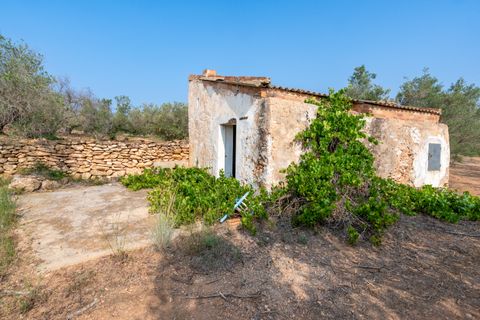 Finca i Camarles, Tarragona, Camarles - € 75.000 | Ref: 115 - foto 1