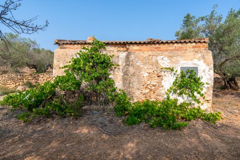 Finca i Camarles, Tarragona, Camarles - € 75.000 | Ref: 115 - foto 3