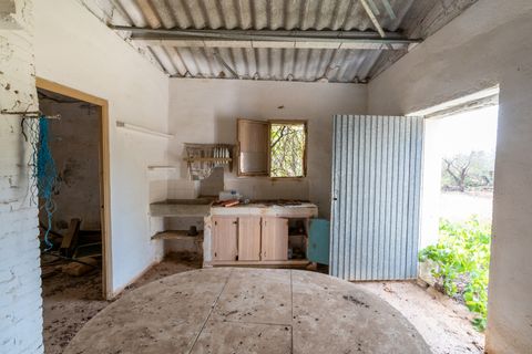 Finca i Camarles, Tarragona, Camarles - € 75.000 | Ref: 115 - foto 8