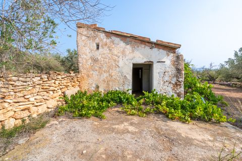 Finca i Camarles, Tarragona, Camarles - € 75.000 | Ref: 115 - foto 2