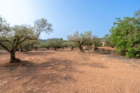 Finca i Camarles, Tarragona, Camarles - € 75.000 | Ref: 115 - foto 18