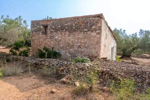 Finca i Camarles, Tarragona, Camarles - € 75.000 | Ref: 115 - foto 5