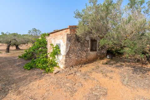Finca i Camarles, Tarragona, Camarles - € 75.000 | Ref: 115 - foto 4